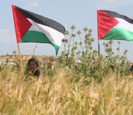 صور احياء ذكرى يوم الأرض شمال أراضينا الفلسطينية