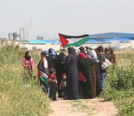 صور احياء ذكرى يوم الأرض شمال أراضينا الفلسطينية