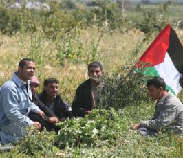 صور احياء ذكرى يوم الأرض شمال أراضينا الفلسطينية