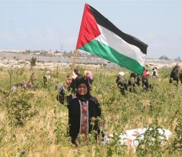 صور احياء ذكرى يوم الأرض شمال أراضينا الفلسطينية
