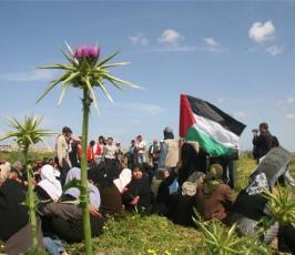 صور احياء ذكرى يوم الأرض شمال أراضينا الفلسطينية