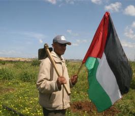 صور احياء ذكرى يوم الأرض شمال أراضينا الفلسطينية