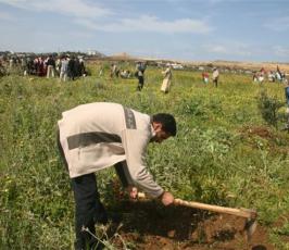 صور احياء ذكرى يوم الأرض شمال أراضينا الفلسطينية