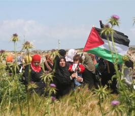 صور احياء ذكرى يوم الأرض شمال أراضينا الفلسطينية