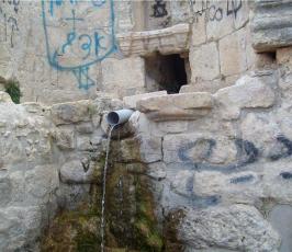 عدسة « فلسطين اليوم » تزور قرية الولجة حيث الحنين للديار في زمن النكبة