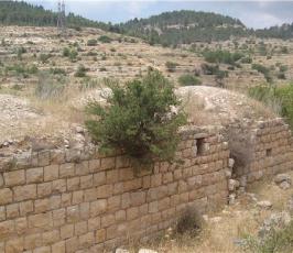 عدسة « فلسطين اليوم » تزور قرية الولجة حيث الحنين للديار في زمن النكبة