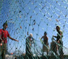 عدسة فلسطين اليوم ترافق الصيادين في مواجهتهم للاجراءات الاسرائيلية في بحر غزة