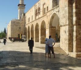 عدسة « فلسطين اليوم » ترصد تدنيس عشرات اليهود لباحات المسجد الأقصى 