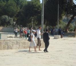 عدسة « فلسطين اليوم » ترصد تدنيس عشرات اليهود لباحات المسجد الأقصى 