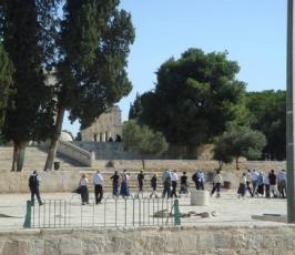 عدسة « فلسطين اليوم » ترصد تدنيس عشرات اليهود لباحات المسجد الأقصى 