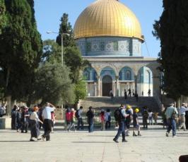 عدسة « فلسطين اليوم » ترصد تدنيس عشرات اليهود لباحات المسجد الأقصى 