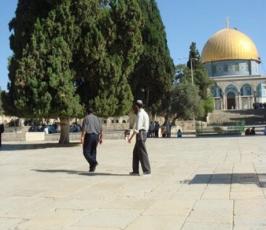 عدسة « فلسطين اليوم » ترصد تدنيس عشرات اليهود لباحات المسجد الأقصى 