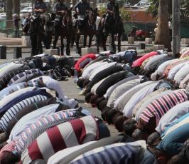 عدسة « فلسطين اليوم » تعيش مع المرابطين داخل المسجد الأقصى والحرم القدسي المبارك 