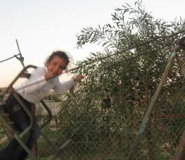 عدسة « فلسطين اليوم » تلتقط مشاهد للأطفال يمرحون بعيد الأضحى المبارك