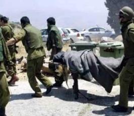 صور جديدة للخسائر الاسرائلية أثناء شنها الحرب على قطاع غزة