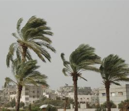بالصور:::أجواء قطاع غزة تغزوها الرياح والعواصف الرملية
