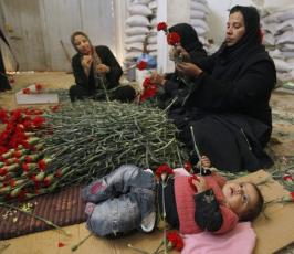 الفلسطينيون يقطفون الورد في غزة لتصديره إلى أوروبا