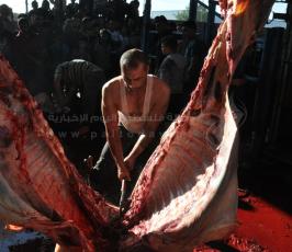 عيد الاضحى