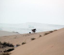 الجيش المصري يستنفر قواته في سيناء لمهاجمة لتطهيرها من المسلحين الإرهابيين
