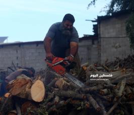 بيع الحطب مع اقترب فصل الشتاء (11).jpg
