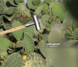 الصبر (1).jpg