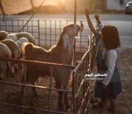اضحى 2020 ‫(59924194)‬ ‫‬.jpg