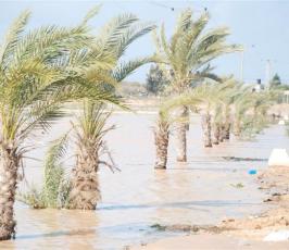 عدسة « فلسطين اليوم  » تلتقط صورًا لكارثة المغراقة