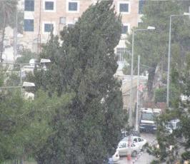 تقرير مصور : الثلوج تتساقط على مدينة رام الله