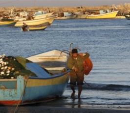 بالصور:: مهنة صيد السمك هى مصدر الرزق للكثير من الغزيين