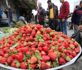 بالصور : جولة في سوق الخضار لمدينة غزة 