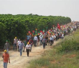بالصور.. مسيرة العودة الثالثة إلى قرية « مسكة » المهجرة في فلسطين المحتلة