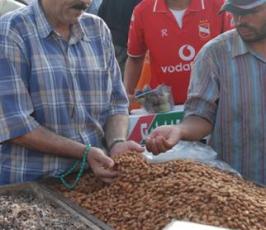 شاهد بالصور: : اجواء الأيام الأولى من شهر رمضان بقطاع غزة