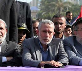 بالصور: الجماهير المحتشدة بمهرجان الدكتور فتحى الشقاقى تقدر بعشرات الآلاف