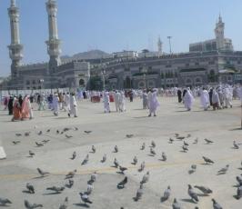 تقرير مصور : حمام الحرم.. قصص وحكايات 