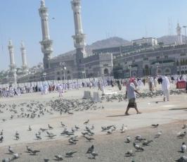 تقرير مصور : حمام الحرم.. قصص وحكايات 
