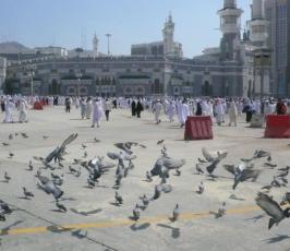 تقرير مصور : حمام الحرم.. قصص وحكايات 