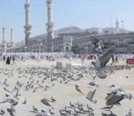 تقرير مصور : حمام الحرم.. قصص وحكايات 