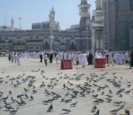 تقرير مصور : حمام الحرم.. قصص وحكايات 