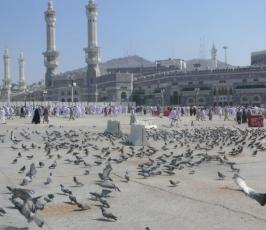 تقرير مصور : حمام الحرم.. قصص وحكايات 