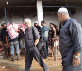بالصور.. حركة الجهاد تنفذ مشروع الأضاحي في غزة