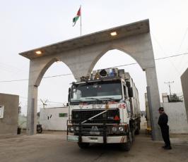 بالصور: تصدير الفراولة والزهور من غزة إلى إوربا