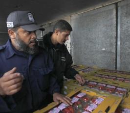 بالصور.. رائحة الأمل تفوح من صادرات الفراولة في غزة