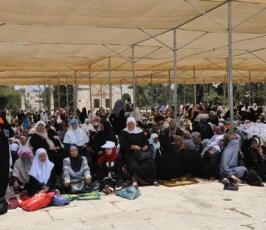 كيف قضي المصلون أوقاتهم في الاقصى المبارك في ظل موجة الحر الشديدة