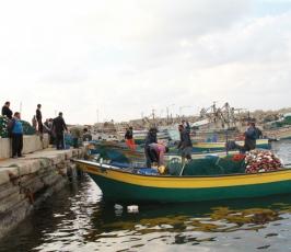 بالصور: صيادو غزة ينعمون بالخير الوفير من أسماك البحر هذه الأيام