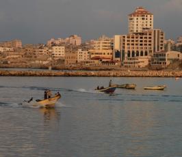 بالصور: صيادو غزة ينعمون بالخير الوفير من أسماك البحر هذه الأيام
