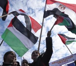 بالصور: غزة تخرج بمظاهرات لتبارك نجاح ثورة الشعب المصرى 