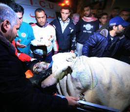 بالصور:شهيد من سرايا القدس بقصف صهيوني شرق غزة