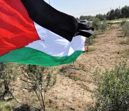 بالصور:أهالى غزة يحيون ذكري يوم الأرض 