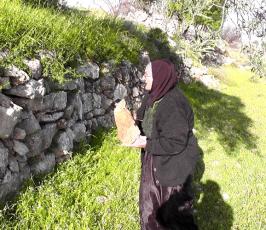 بالصور:: مسنة فلسطينية تتحدى قوات الاحتلال بزراعة أرضها