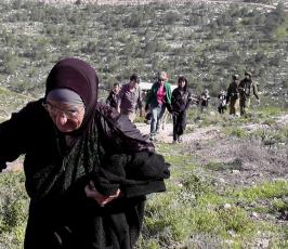 بالصور:: مسنة فلسطينية تتحدى قوات الاحتلال بزراعة أرضها